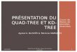Quad-Tree et Kd-Tree (par MARQUES Patricia et OLIVIER Aymeric)