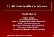 Prof. Ch. Hanzen – Le kyste ovarien dans l’espèce bovine 1 Le cisti ovariche nella specie bovina Prof. Ch. Hanzen Université de Liège Faculté de Médecine