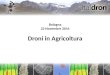 Bologna 22 Novembre 2014 Droni in Agricoltura. Droni “Professionali” Quale Scegliere?