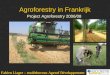 Agroforestry in Frankrijk Project Agroforestry 2006/08 Fabien Liagre – studiebureau Agroof Développement