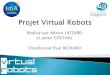 Presentation Virtual Robots