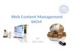 Web content management wcm