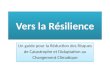 Formation sur la resilience partie 1