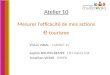 Compil Atelier  10 - évaluer mes actions etourisme VEM 2009.ppt