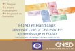 FOAD et Handicaps : le dispositif CNED/CFA-SACEF (20080319)