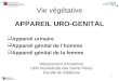 PCEM1 2008 Cours 8 Urogenital.ppt