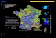 Cartes de France des fragilités et dynamismes territoriaux