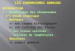 1-Chromosomes Humains - Copy