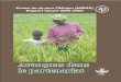 AfricaRice Rapport annuel 2004-2005