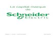 Le Capital Marque de Schneider Electric