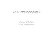 Cryptococcose Cours DES BC - Ppt