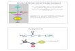 Cycle de Krebs - Biochimie métabolique - Hader Haidous