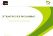 Roaming International - Sratégies