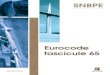 Eurocode Et Fascicule 65 - SNBEP 2010