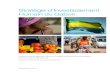 Rapport - Stratégie d'Investissement Humain du Gabon