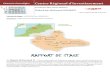 Rapport de stage Centre régional d’investissement