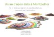 Un an d’open data à Montpellier