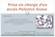 Accès palustre grave en Réanimation - Recommandations 2014 - Pierre-Antoine Pioche