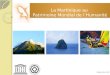 Projet GSP - Candidature De La Martinique Au Patrimoine Mondial