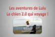Les aventures de Lulu -  Le chien 2.0 qui voyage !