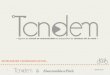 M2 MCC2014  - agence Tandem - Abercrombie