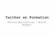 Sycfi - Twitter pour les formateurs v.1.1