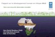Lancement du premier rapport sur le développement humain en Afrique
