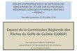 Corep atelier propacExposé de la Commission Régionale des Pêches du Golfe de Guinée (COREP)