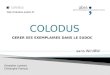 Tutoriel -- Colodus : Gérer ses exemplaires dans le Sudoc sans WinIBW
