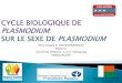 Cycle biologique de Plasmodium: sur le sexe de Plasmodium
