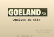Goeland analyse de site