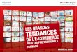 Les grandes tendances de l'e-commerce pour les professionnels français - Edition 2009