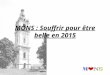 Tavaux 2015 Mons
