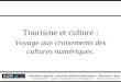 Tourisme et culture : voyage aux croisements des cultures numériques