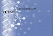Les plasmides groupe 02