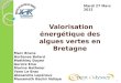 Réflexion sur les problématiques des algues vertes en Bretagne - projet de groupe MAE