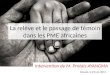 la rel¨ve dans les PME camerounaises
