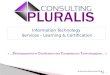 Présentation activités pluralis consulting 2013