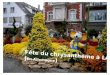 48503 FêTe Du ChrysanthéMe