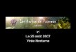 Les Herbes De Provence Au Canal2