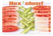 Hex'clusif, le magazine d'Hexagro #Printemps 2014