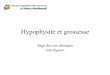 Hypophysite de la grossesse