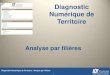 120313 Analyse Diagnostic Numerique par filiere