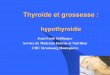 Hypothyroidie et_grossesse
