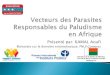 Vecteurs des parasites responsables du paludisme en Afrique