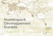 Numérique et développement durable 2