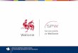 Présentation Mesures E-business en Wallonie