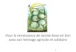 Projet en permaculture et serres passives de l'Association Jardins Collectifs Sainte-Rose (Laval, Qc)