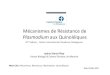 Mécanismes de Résistance de Plasmodium aux Quinoléiques