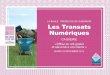 Transats Numériques, saison 2 - Causerie wifi - 2 décembre 2014